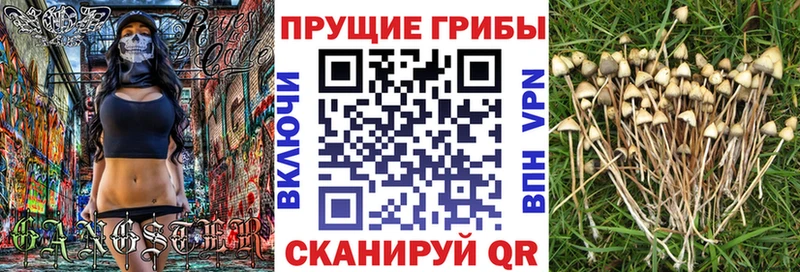 Галлюциногенные грибы MAGIC MUSHROOMS Черепаново